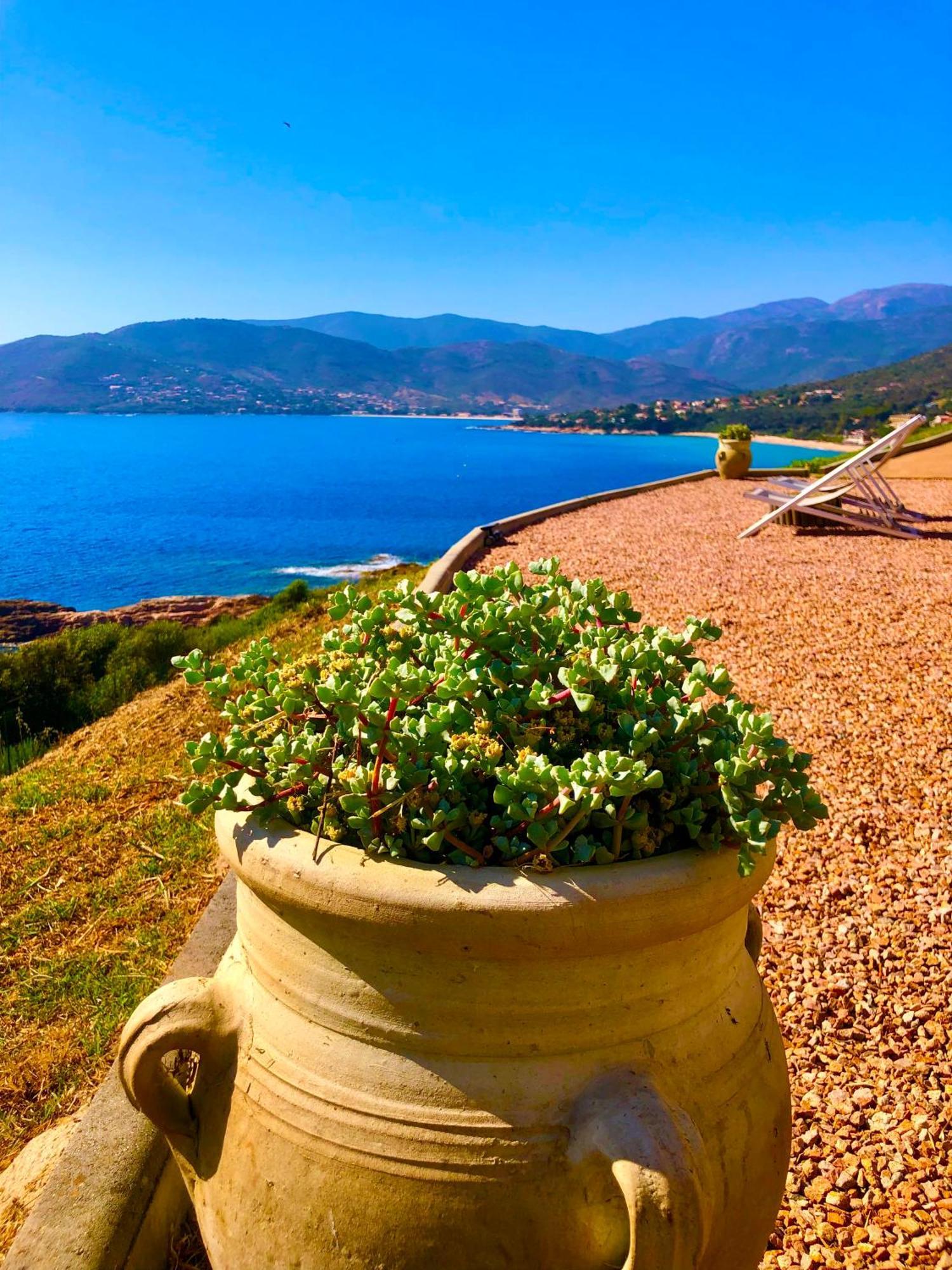 L'Armandulina Sagone (Corsica) Exterior foto