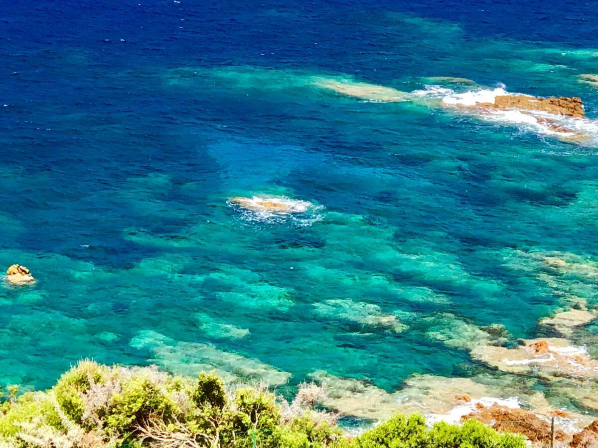L'Armandulina Sagone (Corsica) Exterior foto